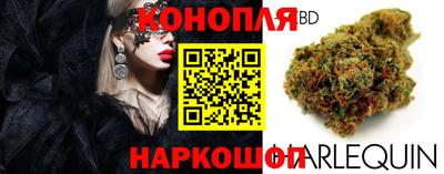 прущие крисы Шебекино